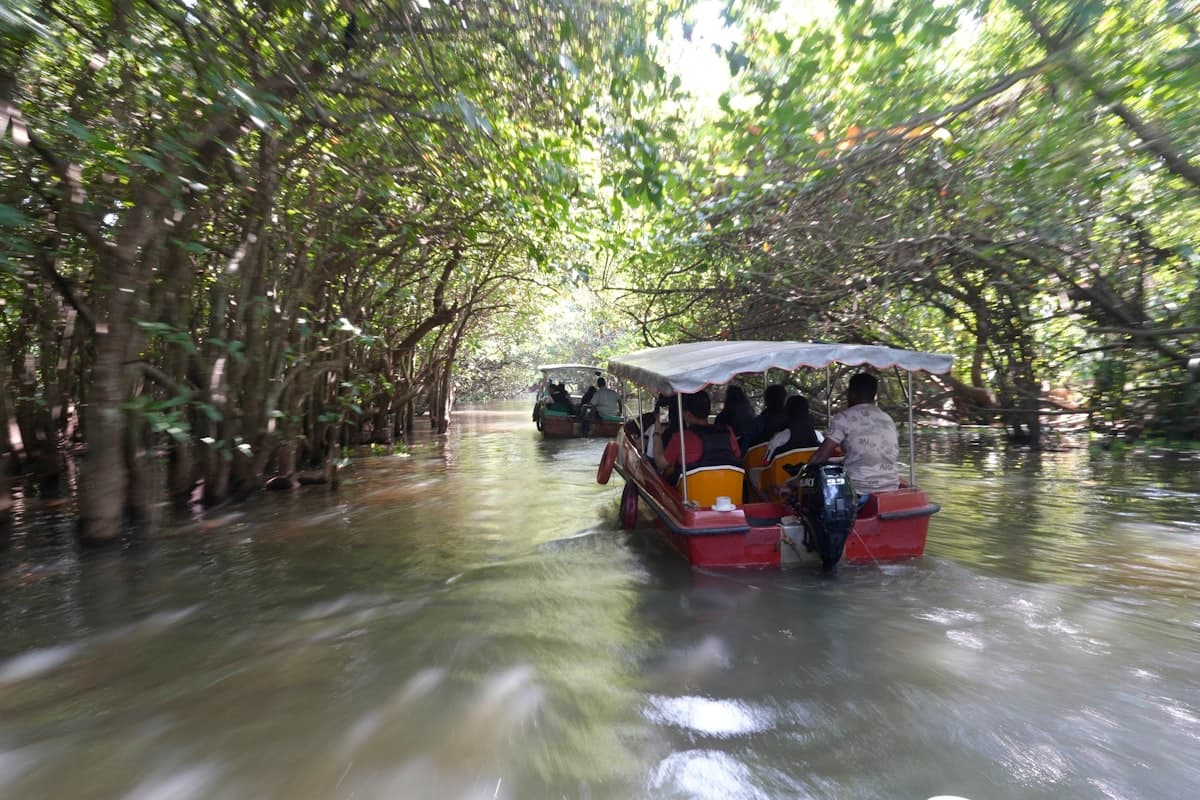 Black River - Photo 3