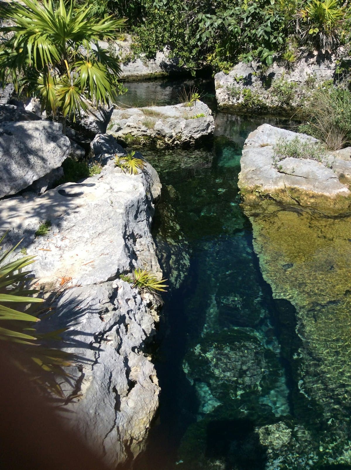 Blue Lagoon - Photo 2