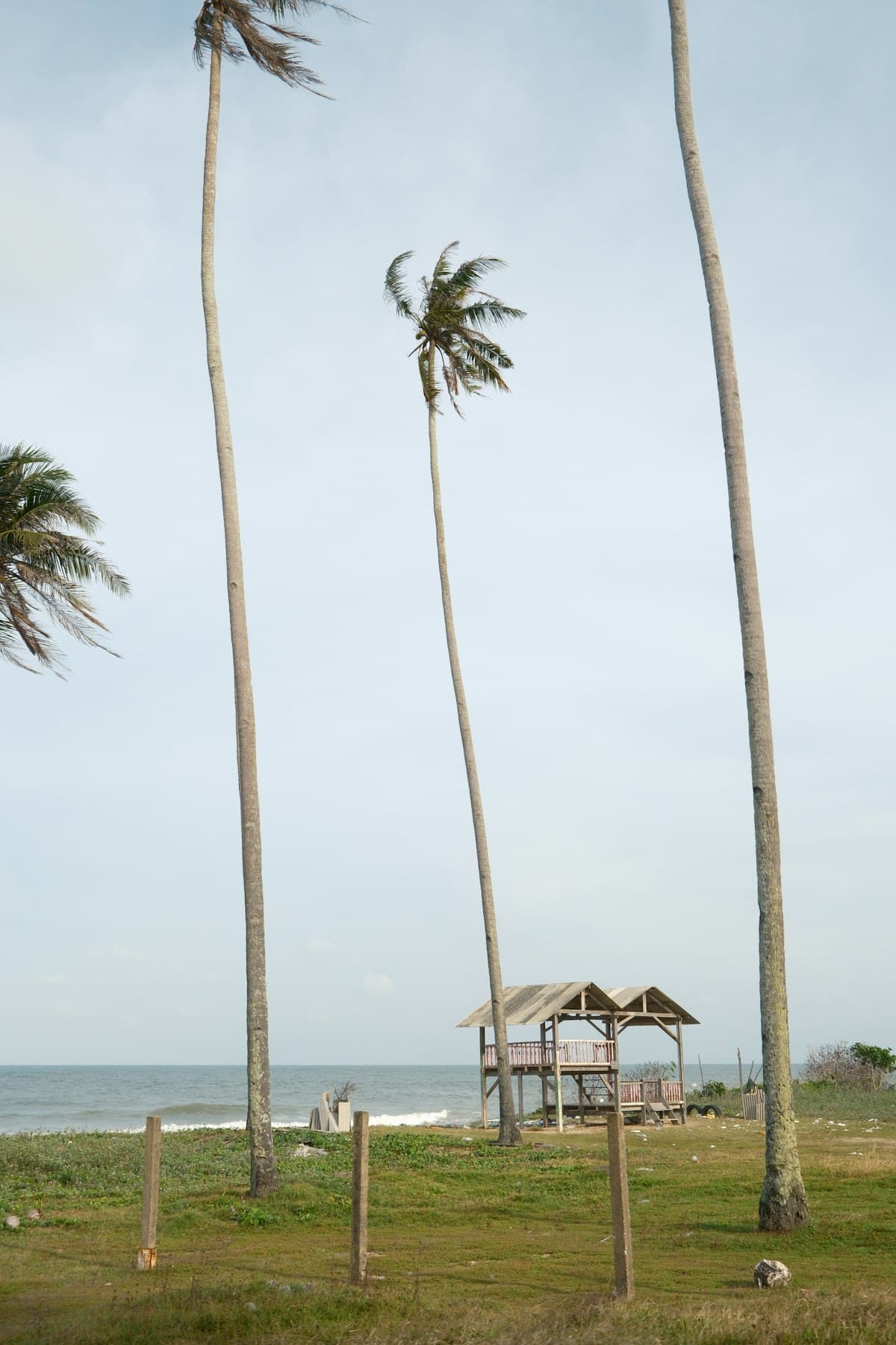 Rudy's Bar - Photo 2